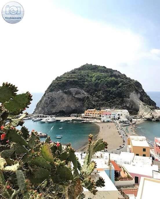 Villa Paradiso Sant'Angelo  Екстер'єр фото