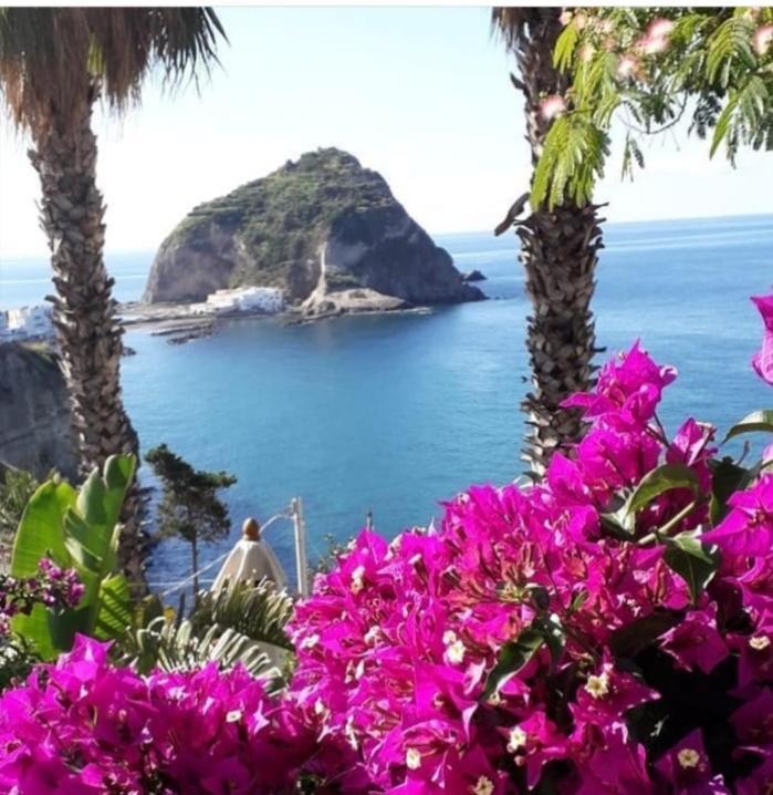 Villa Paradiso Sant'Angelo  Екстер'єр фото