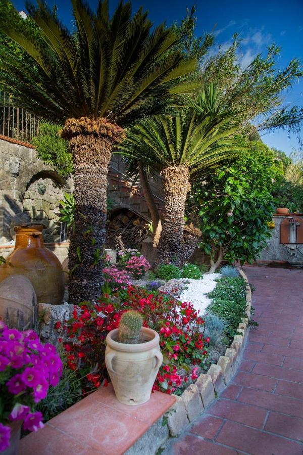 Villa Paradiso Sant'Angelo  Екстер'єр фото